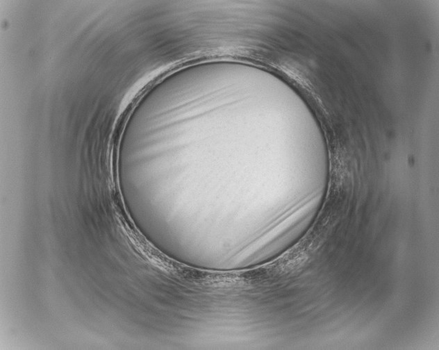 X0000052950886200507221209