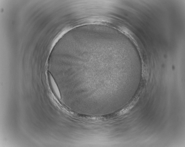 X0000052950899200507221209