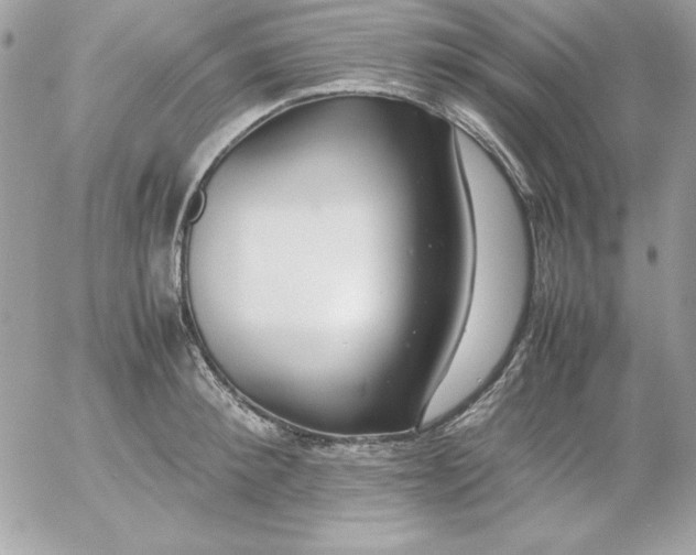 X0000052950900200507221209