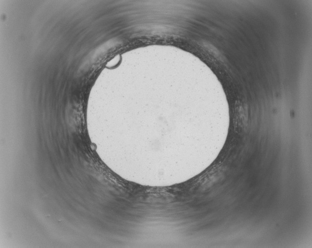 X0000052950918200507221208