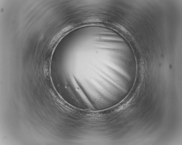 X0000052950929200507221208