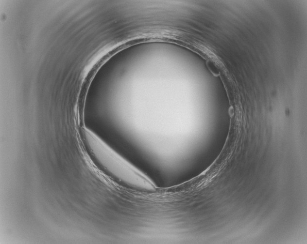X0000052950936200507221208