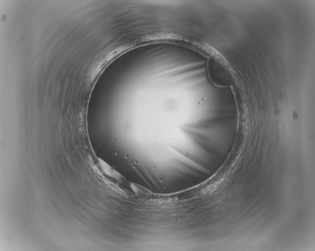 X0000052950937200507221208