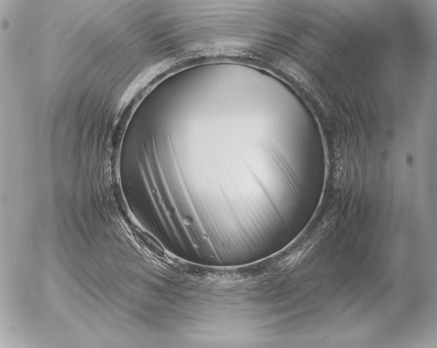 X0000052950978200507221207