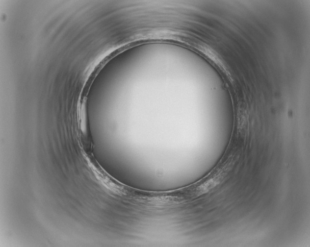 X0000052950988200507221207