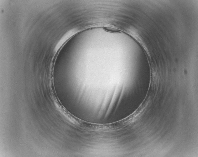 X0000052951002200507221207