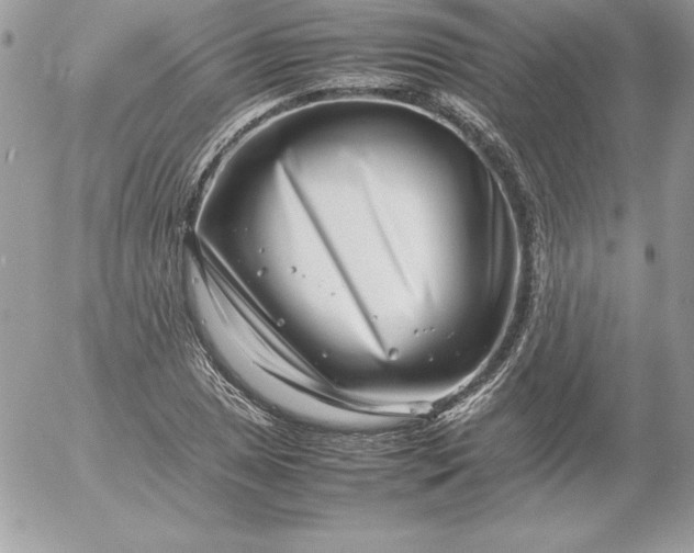 X0000052951025200507221206