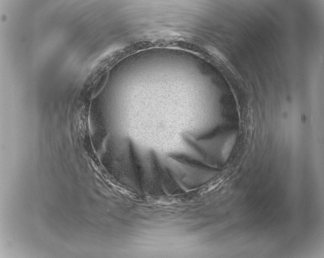 X0000052951063200507221206