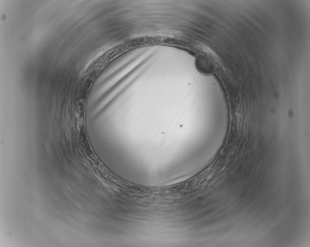 X0000052951064200507221206