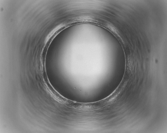 X0000052951082200507221206