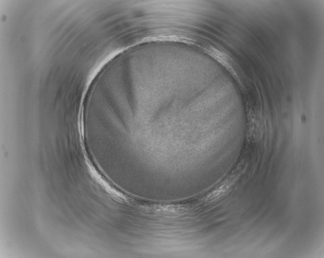 X0000052951084200507221206