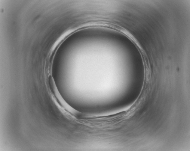 X0000052951101200507221205