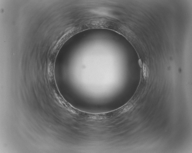 X0000052951107200507221205