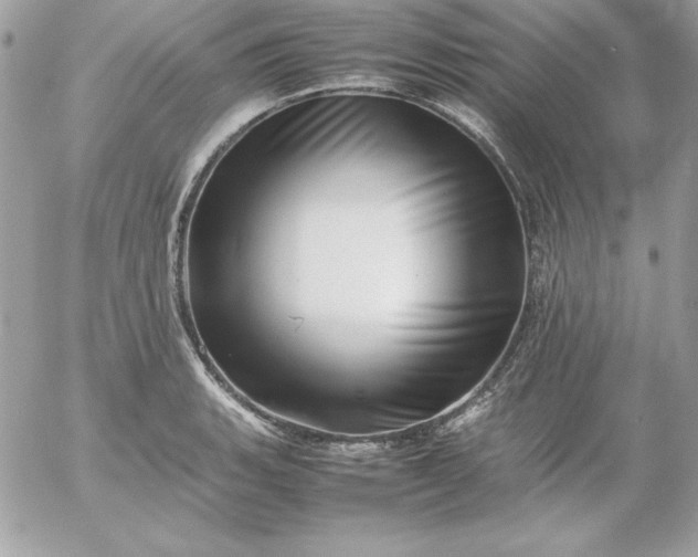 X0000052951135200507221205