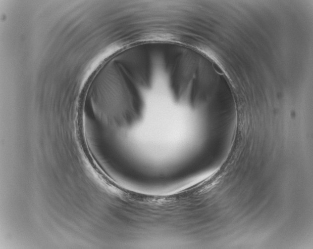 X0000052951139200507221205