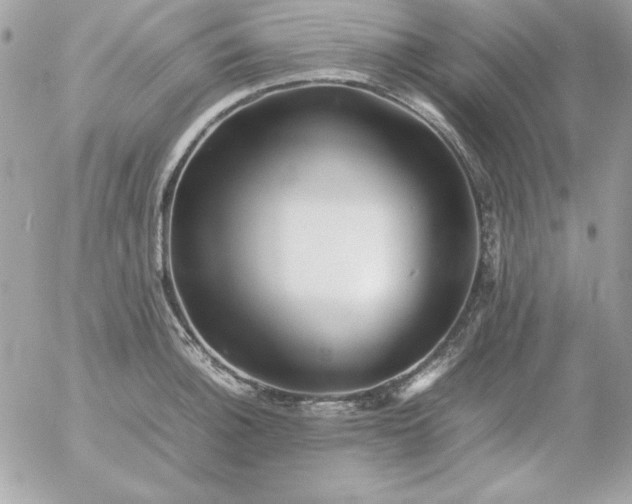 X0000052951140200507221205