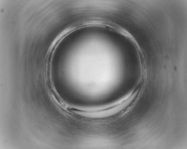 X0000052951146200507221205