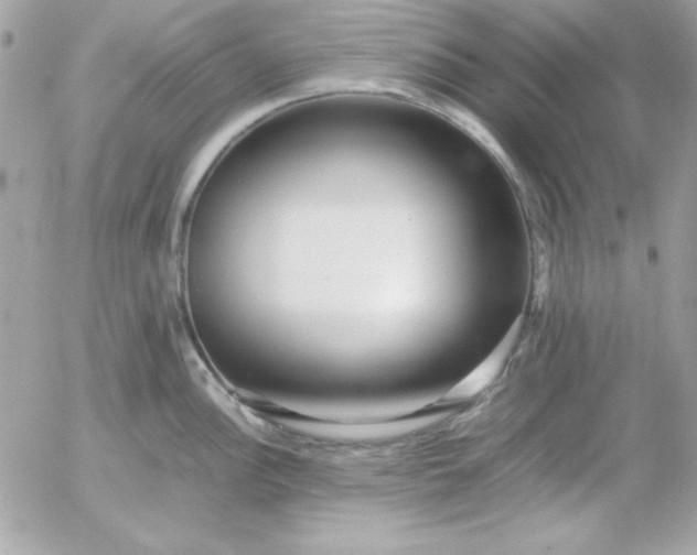 X0000052951148200507221205