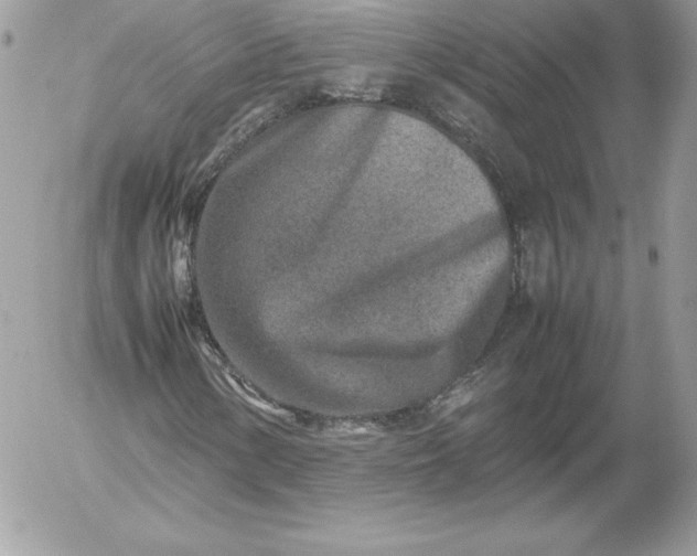 X0000052951154200507221204