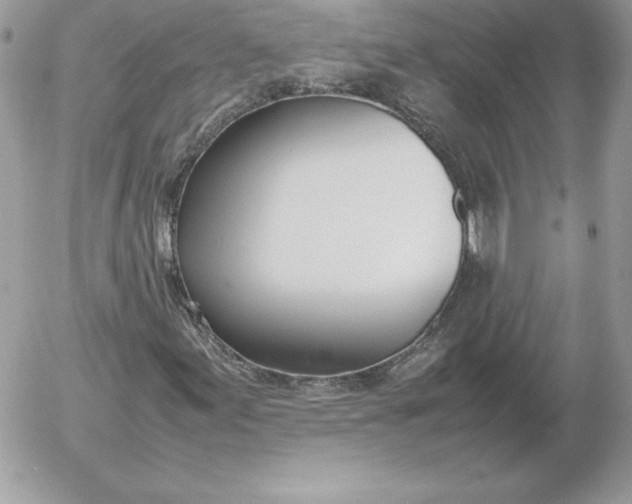 X0000052951155200507221204