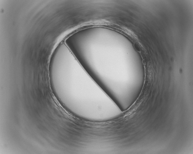 X0000052951176200507221204