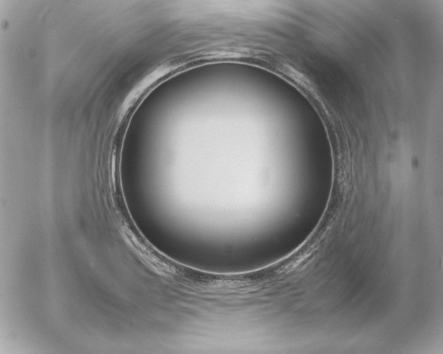 X0000052951179200507221204