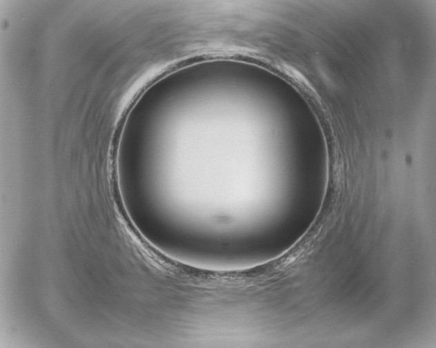 X0000052951183200507221204