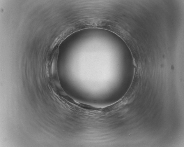 X0000052951202200507221203
