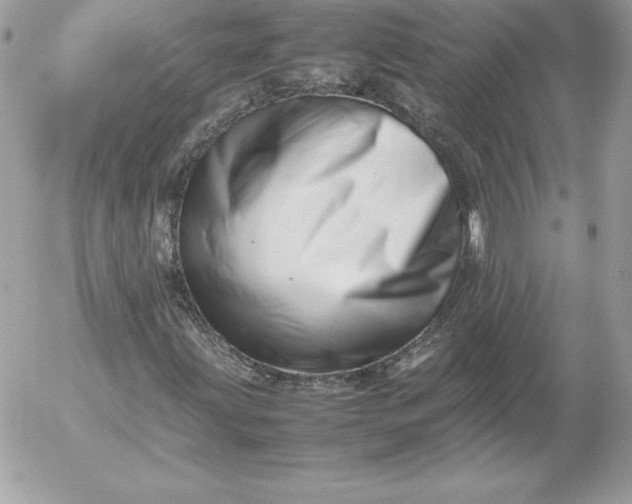 X0000052951203200507221203