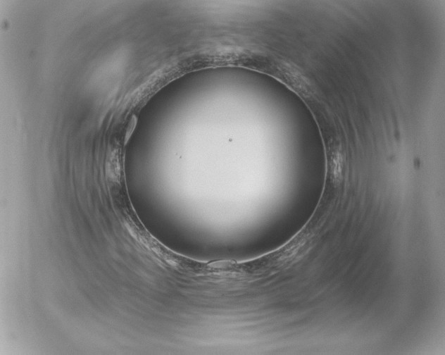 X0000052951204200507221203