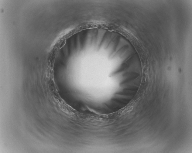 X0000052951207200507221203