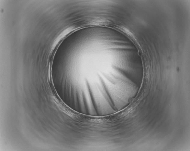 X0000052951227200507221203