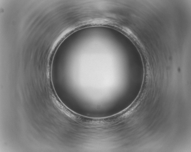 X0000052951232200507221203