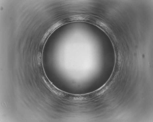 X0000052951233200507221203
