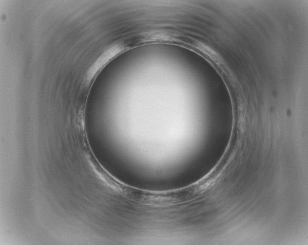 X0000052951241200507221204