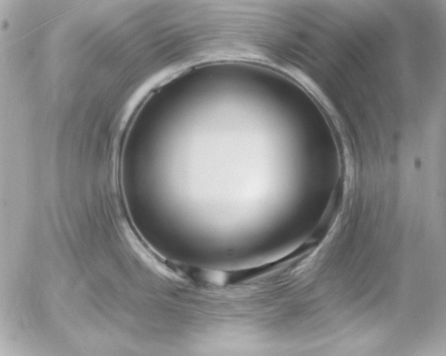 X0000052951246200507221204