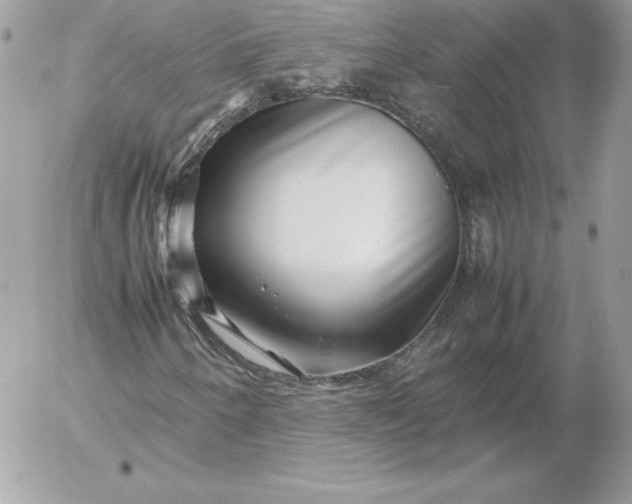 X0000052951250200507221203