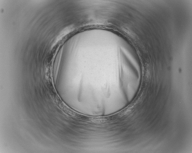 X0000052951258200507221203