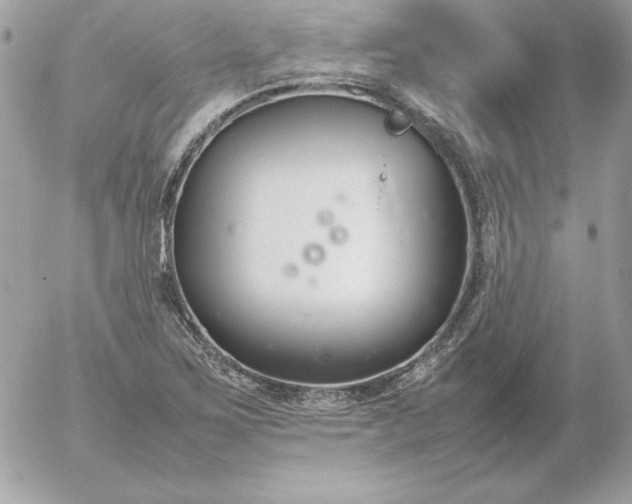 X0000052951267200507221203
