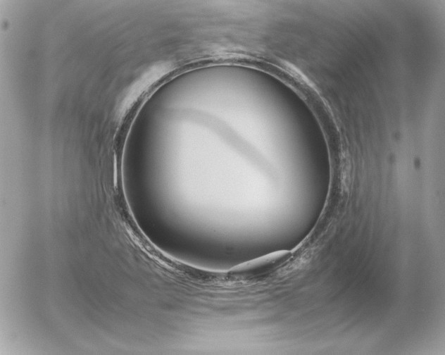 X0000052951269200507221203