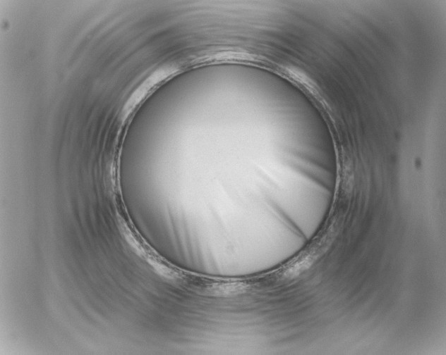 X0000052951282200507221202