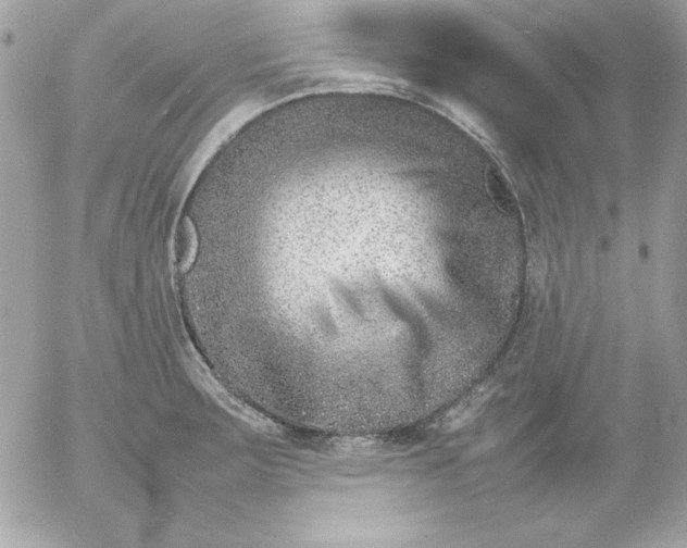 X0000052951283200507221202