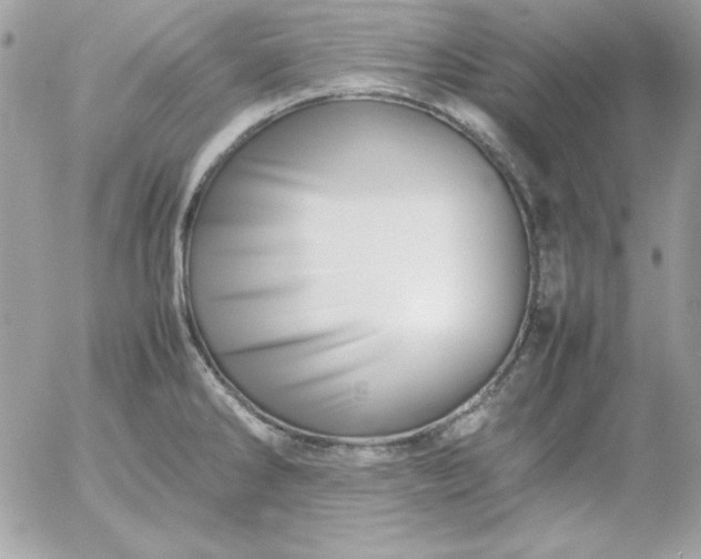 X0000052951286200507221202