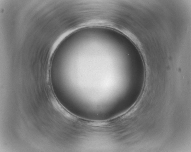 X0000052951296200507221202