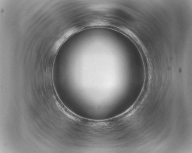 X0000052951337200507221202