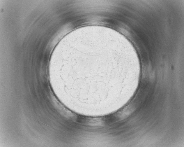 X0000052951338200507221202