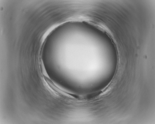 X0000052951344200507221202