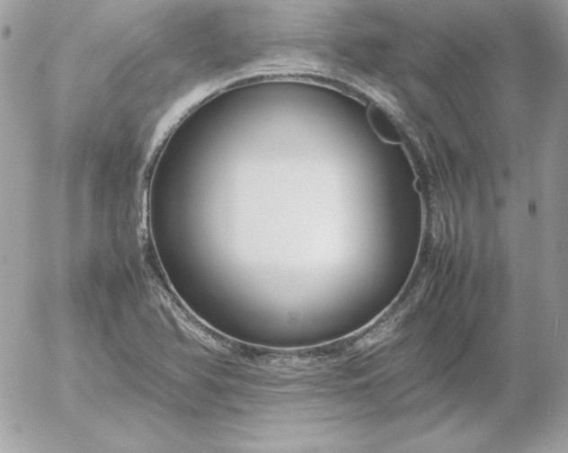 X0000052951366200507221201