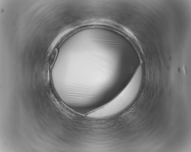 X0000052951368200507221201