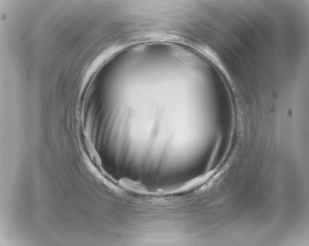 X0000052951381200507221201